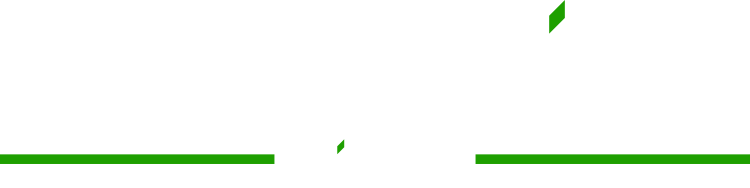 PLUGHITZ Live Logo